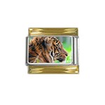 Tiger Gold Trim Italian Charm (9mm)