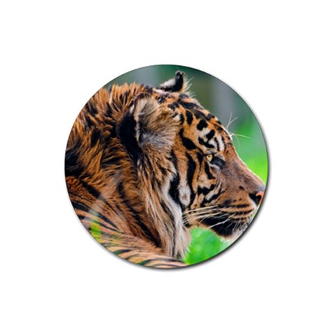 Tiger Rubber Round Coaster (4 pack) from ArtsNow.com Front