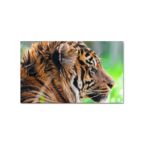 Tiger Sticker (Rectangular) from ArtsNow.com Front