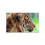 Tiger Sticker (Rectangular)