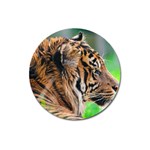 Tiger Magnet 3  (Round)