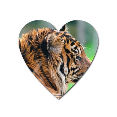 Tiger Magnet (Heart) from ArtsNow.com Front