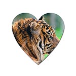 Tiger Magnet (Heart)