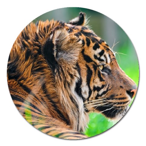Tiger Magnet 5  (Round) from ArtsNow.com Front