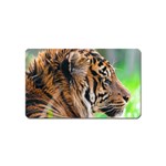 Tiger Magnet (Name Card)