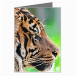 Tiger Greeting Card