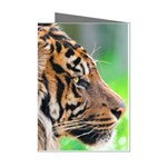 Tiger Mini Greeting Cards (Pkg of 8)