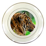 Tiger Porcelain Plate