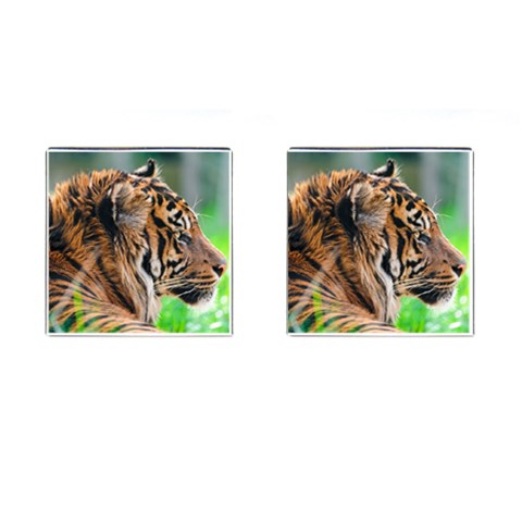 Tiger Cufflinks (Square) from ArtsNow.com Front(Pair)