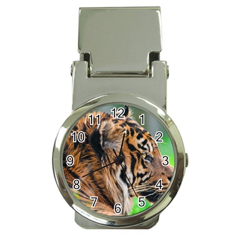 Tiger Money Clip Watch from ArtsNow.com Front