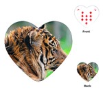 Tiger Playing Cards (Heart)