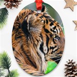 Tiger Oval Ornament (Two Sides)