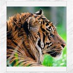 Tiger Canvas 8  x 10 