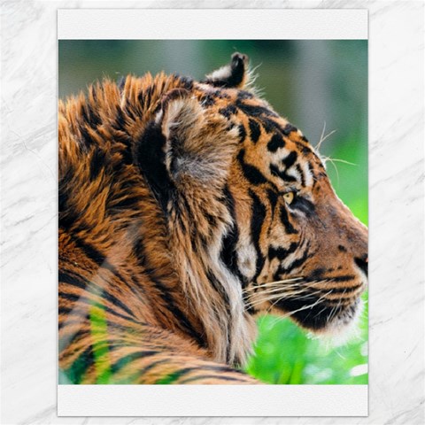 Tiger Canvas 36  x 48  from ArtsNow.com 35.26 x46.15  Canvas - 1