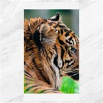 Tiger Canvas 40  x 72 