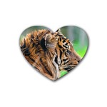 Tiger Rubber Heart Coaster (4 pack)