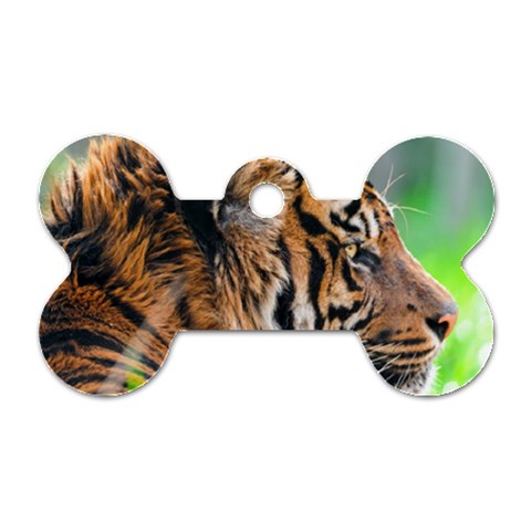 Tiger Dog Tag Bone (Two Sides) from ArtsNow.com Front
