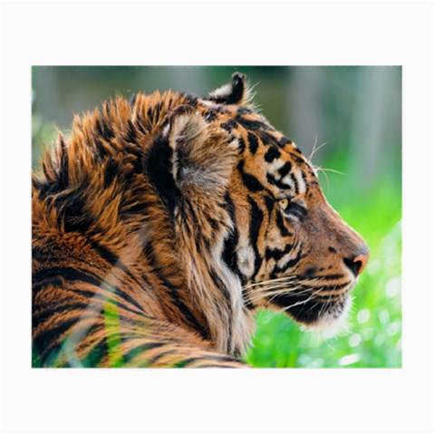 Tiger Small Glasses Cloth (2 Sides) from ArtsNow.com Front