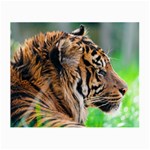 Tiger Small Glasses Cloth (2 Sides)