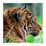 Tiger Medium Glasses Cloth