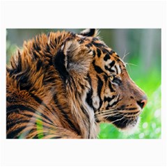 Tiger Large Glasses Cloth (2 Sides) from ArtsNow.com Front