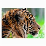 Tiger Large Glasses Cloth (2 Sides)