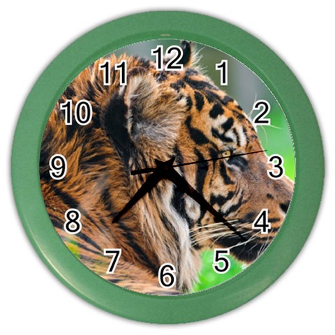 Tiger Color Wall Clock from ArtsNow.com Front