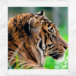 Tiger Canvas 11  x 14 