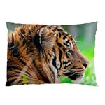 Tiger Pillow Case