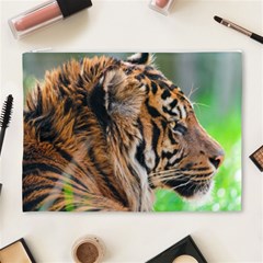Tiger Cosmetic Bag (XL) from ArtsNow.com Front