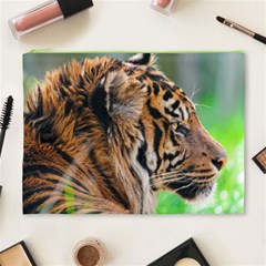 Tiger Cosmetic Bag (XL) from ArtsNow.com Front