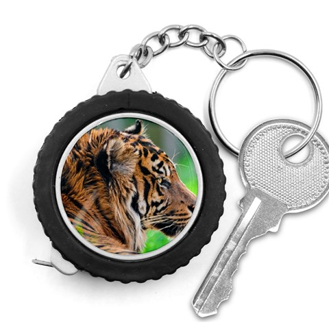 Tiger Measuring Tape from ArtsNow.com Front