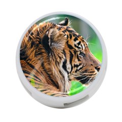 Tiger 4 Back