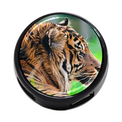 Tiger 4 Back