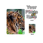 Tiger Playing Cards 54 (Mini)