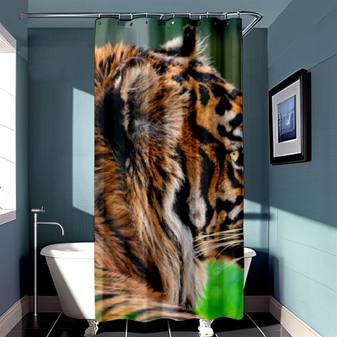 Tiger Shower Curtain 36  x 72  (Stall) from ArtsNow.com Curtain(36 X72 ) - 33.26 x66.24  Curtain(36 X72 )