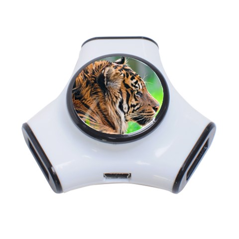 Tiger 3 Front