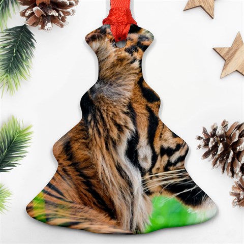 Tiger Ornament (Christmas Tree)  from ArtsNow.com Front