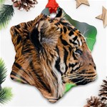 Tiger Snowflake Ornament (Two Sides)