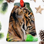 Tiger Bell Ornament (Two Sides)