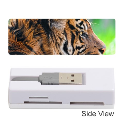 Tiger Memory Card Reader (Stick) from ArtsNow.com Front