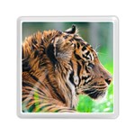 Tiger Memory Card Reader (Square)
