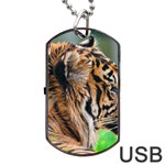 Tiger Dog Tag USB Flash (Two Sides)