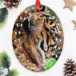 Tiger Ornament (Oval Filigree)