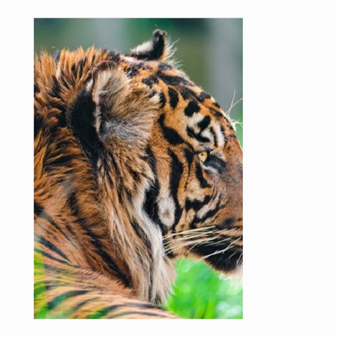 Tiger Small Garden Flag (Two Sides) from ArtsNow.com Back
