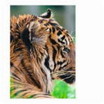 Tiger Large Garden Flag (Two Sides)