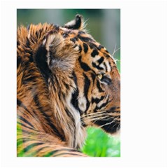 Tiger Large Garden Flag (Two Sides) from ArtsNow.com Back