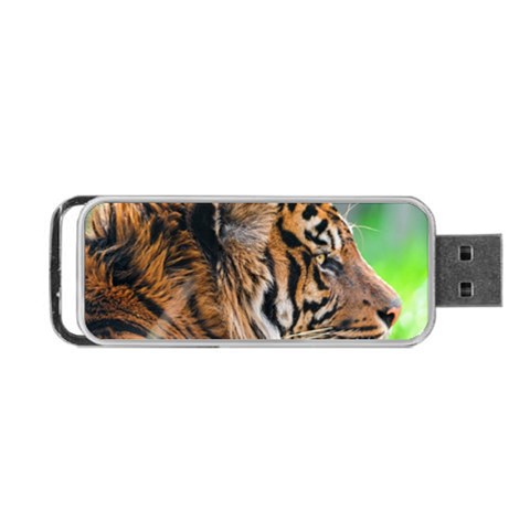 Tiger Portable USB Flash (Two Sides) from ArtsNow.com Front