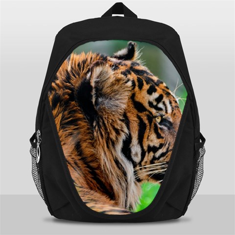 Tiger Backpack Bag from ArtsNow.com Front