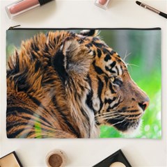 Tiger Cosmetic Bag (XXXL) from ArtsNow.com Front